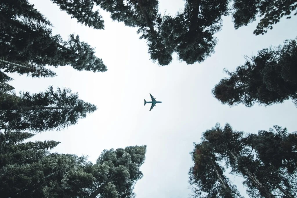 Las mejores Ofertas de Vuelos